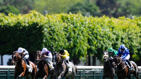 pornichet racing results|Pornichet Horse Race Results .